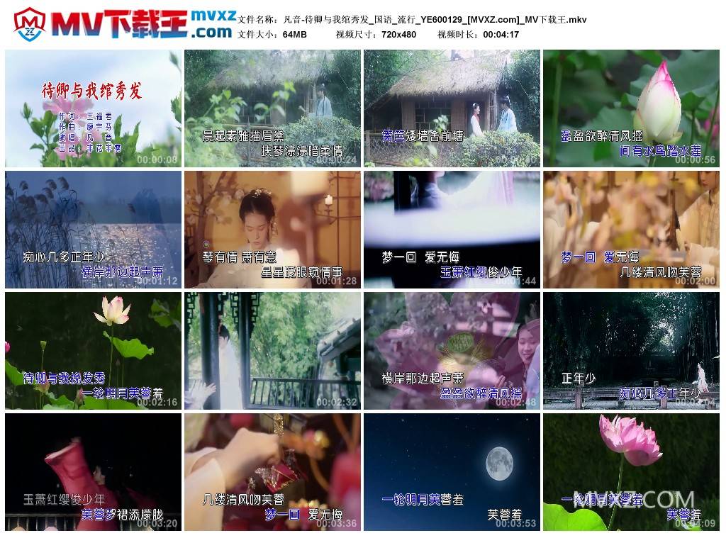 凡音-待卿与我绾秀发_国语_流行_YE600129